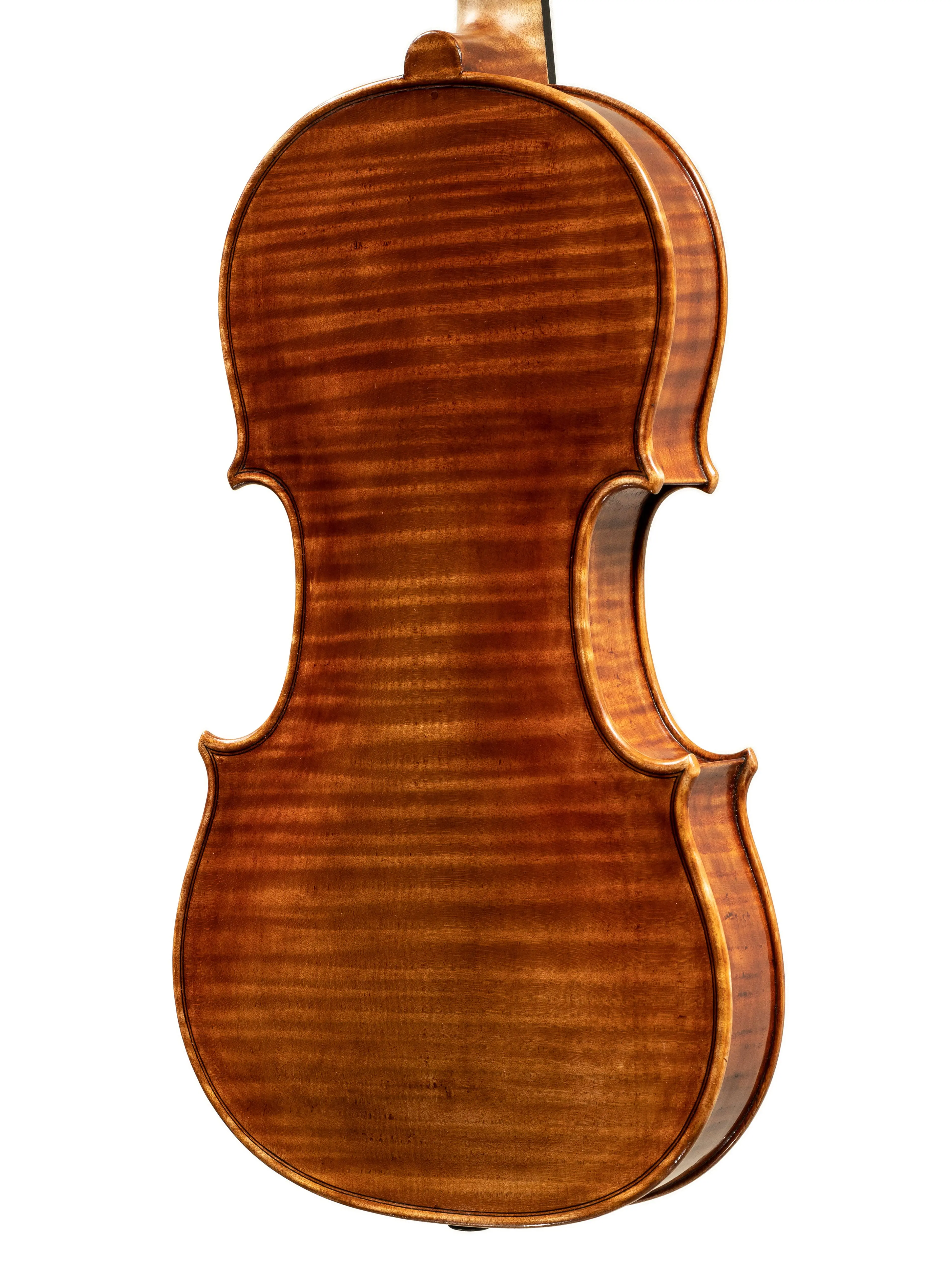 Violin by Dario Vettori, 2022 - MyLuthier